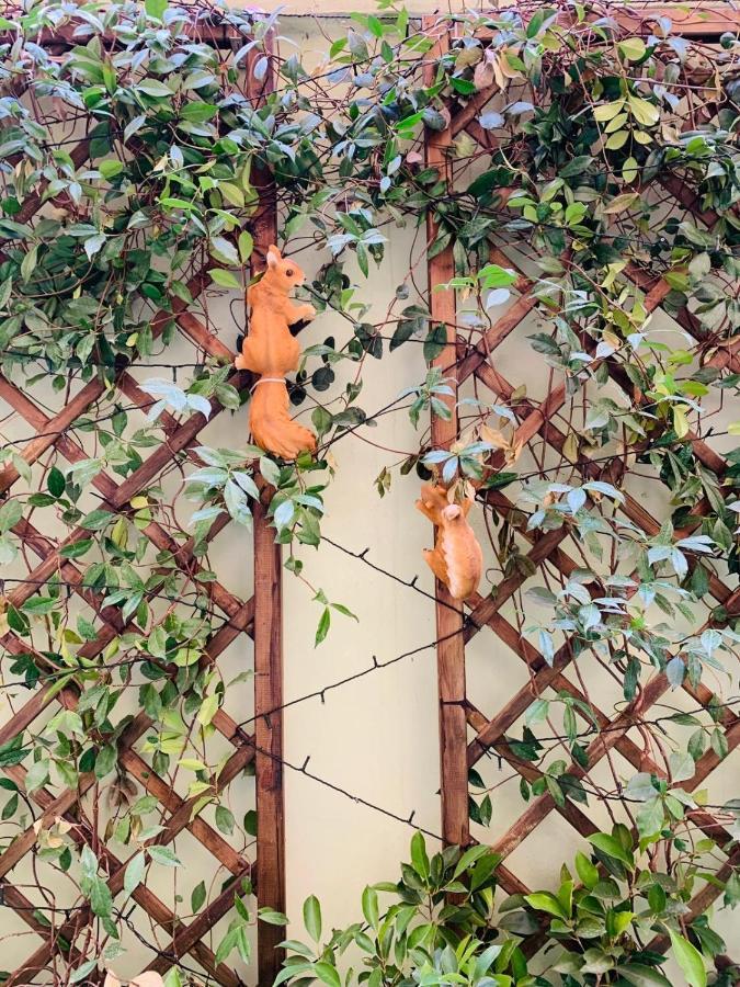 Bed and Breakfast Babyface Roma Exterior foto